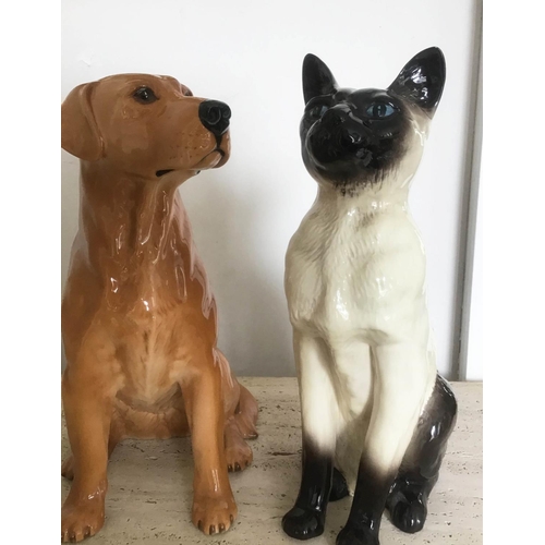 16 - BESWICK FIGURES, large siamese cat 2139 and gold labrador 2314, each 35cm H. (2)