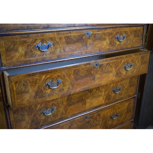 174 - TALL CHEST, late 19th century, re veneered burr walnut in George II style, with five drawers, 143cm ... 