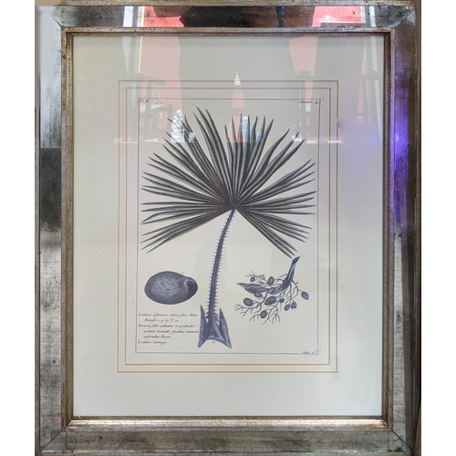 385 - BOTANICAL PRINTS, a set of three, in mirrored frames, 53cm W x 64cm H. (3)