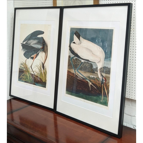 57 - AFTER JOHN JAMES AUBUDON, two prints, framed and glazed, 94cm x 63.5cm. (2)