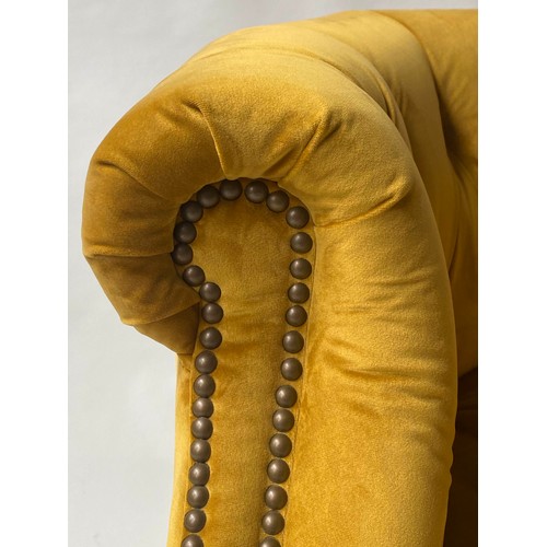 127 - TUB ARMCHAIR BY ALEXANDER & JAMES, bow backed studded and buttoned mustard yellow velvet with scroll... 