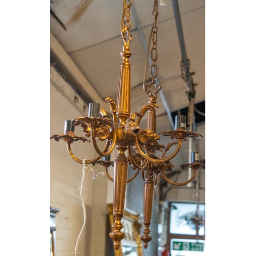 238 - CHANDELIERS, a pair, each 60cm H excluding chain x 45cm, ram's head detail in gilt metal with four l... 