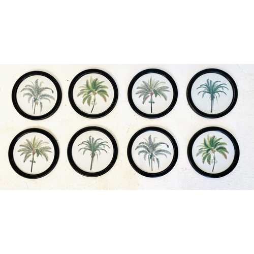 430 - BOTANICAL PALM TREE PRINTS, a set of eight, framed 
35 diam, each.