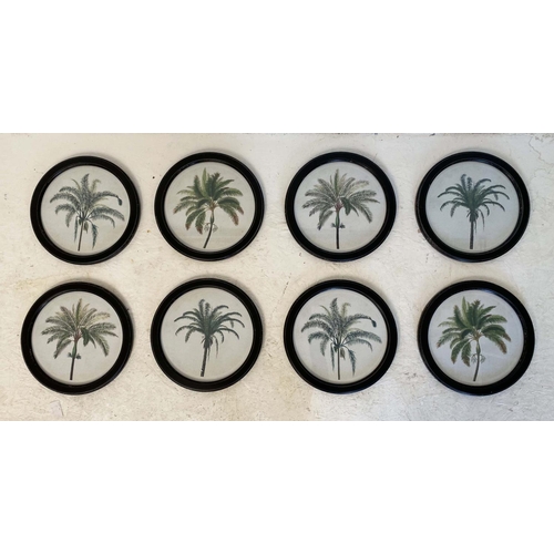 430 - BOTANICAL PALM TREE PRINTS, a set of eight, framed 
35 diam, each.