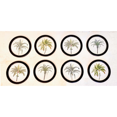 430 - BOTANICAL PALM TREE PRINTS, a set of eight, framed 
35 diam, each.