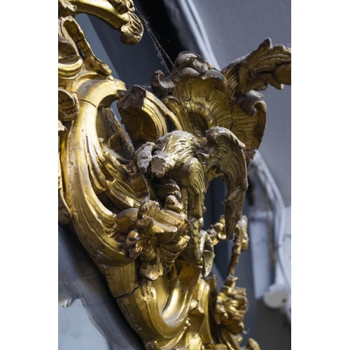 206 - OVERMANTEL, 166cm H x 155cm W, Victorian giltwood and gesso, circa 1850, with dragon crested rocaill... 