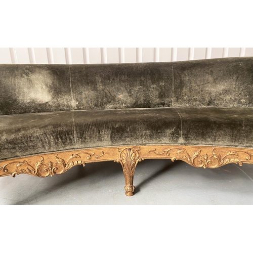 254 - SOFA, French style giltwood with curved back and deep green velvet upholstery, 230cm W.