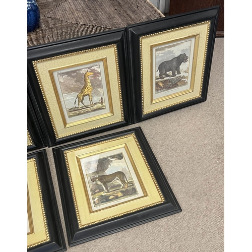 21 - ANIMAL PRINTS, a set of six, each 42cm x 36cm, framed and glazed. (6)