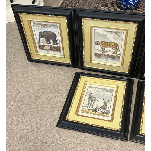 21 - ANIMAL PRINTS, a set of six, each 42cm x 36cm, framed and glazed. (6)