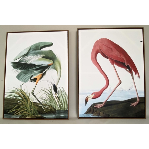 368 - AFTER JOHN JAMES AUDUDON PRINTS, two differing, 113cm high, 83cm wide, on canvas, framed (2)