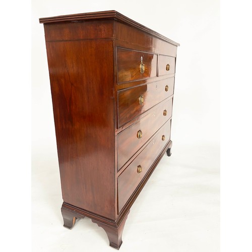 279 - SCOTTISH HALL CHEST, early 19th century mahogany of adapted shallow proportions with two short above... 