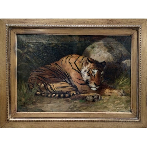 45 - A NOYES LEWIS 'Tiger', oil on canvas, 39cm x 60cm, signed and dated 1905.