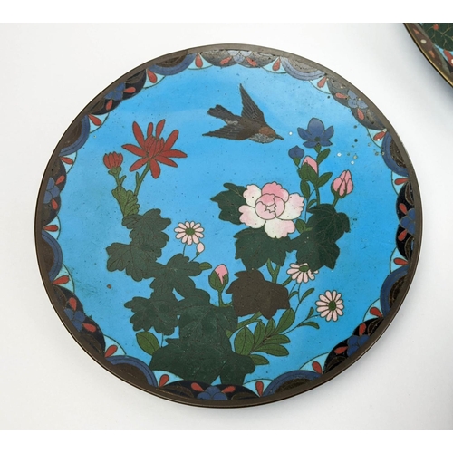 19 - CLOISONNE PLATES, a group of seven, all depicting birds amongst flowers blue ground of various sizes... 