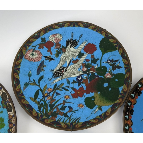 19 - CLOISONNE PLATES, a group of seven, all depicting birds amongst flowers blue ground of various sizes... 