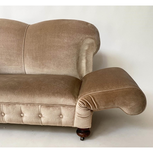 477 - SOFA, 140cm W x 159cm arm down Edwardian two seater with drop arm and button taupe velvet upholstery... 