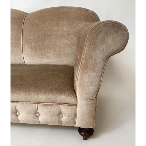 477 - SOFA, 140cm W x 159cm arm down Edwardian two seater with drop arm and button taupe velvet upholstery... 