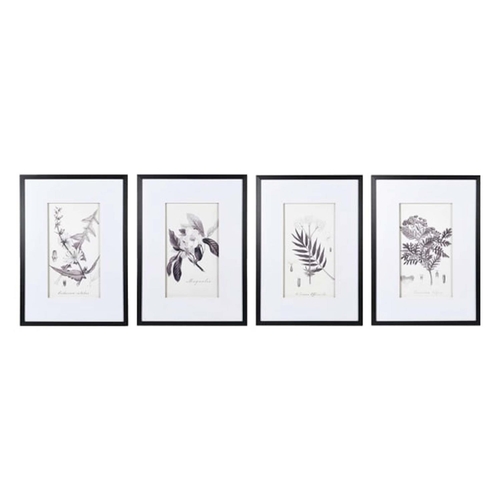 297 - BOTANICAL PRINTS, set of four prints, 70cm H x 51cm W, framed and glazed. (4)