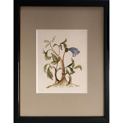 95 - 20TH CENTURY SCHOOL 'Botanical Studies', watercolours, 38cm x 24cm, framed (set of four).