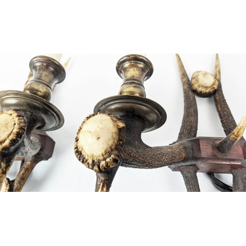 255 - ANTHONY REDMILE STYLE ANTLER WALL SCONCES, a pair, 40cm x 13cm x 17cm. (2)