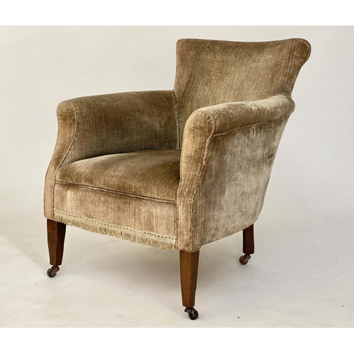 102 - TUB ARMCHAIR, Edwardian teddy bear plush velvet upholstered with rounded back and square tapering su... 