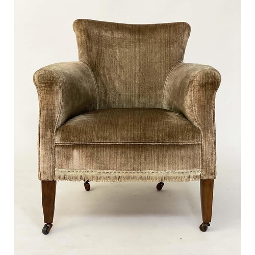 102 - TUB ARMCHAIR, Edwardian teddy bear plush velvet upholstered with rounded back and square tapering su... 