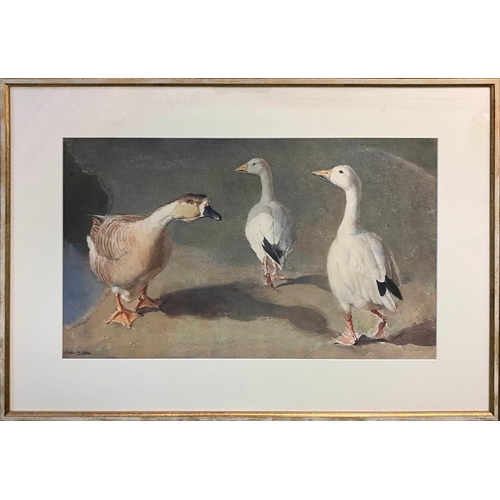 35 - ARTHUR W GAY (1901-1958) 'Geese', watercolour, 32cm x 52cm, signed, framed.