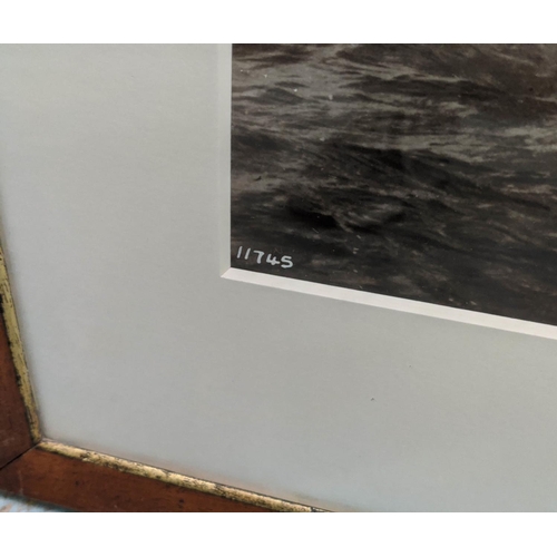 54 - BEKEN OF COWES, 73cm x 59cm, marine photographers, white heather photoprint, framed and glazed.