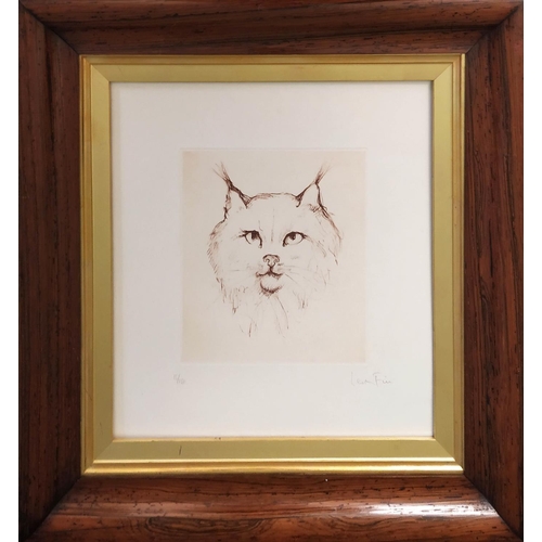 68 - LEONOR FINI (1928-2018) Cat, etching, 15cm x 12cm, signed and numbered, framed.