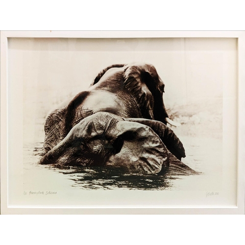 41 - CAROLINE GIBELLO, Brotherhood, photographic print on fine art paper, framed and glazed, 109cm x 79cm... 