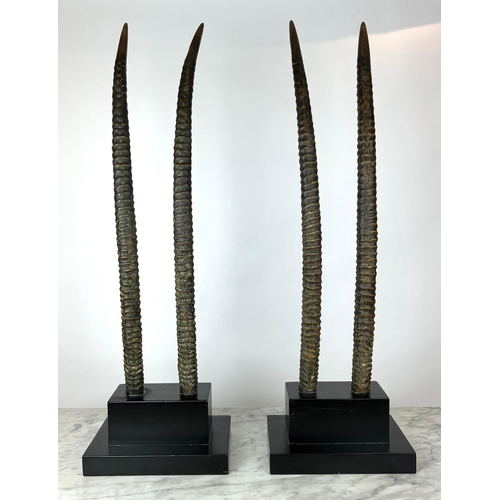 9 - FAUX ORYX TROPHY HORNS, a pair, on ebonised plinth bases, 102cm H. (2)