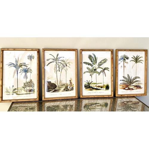 413 - BOTANICAL PRINTS, a set of four, framed and 50cm x 35cm, framed and glazed. (4)