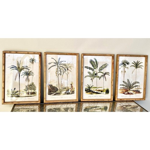 413 - BOTANICAL PRINTS, a set of four, framed and 50cm x 35cm, framed and glazed. (4)