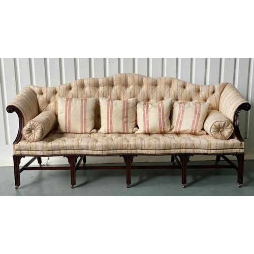 251 - SOFA, George III style mahogany with buttoned striped brocade upholstery, camel back and stretchered... 