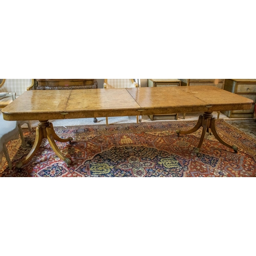 282 - DINING TABLE, Regency style, burr elm and elm with twin pedestals, two extra leaves, brass clips and... 