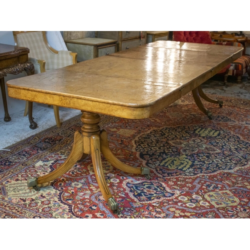 282 - DINING TABLE, Regency style, burr elm and elm with twin pedestals, two extra leaves, brass clips and... 