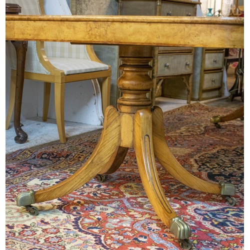282 - DINING TABLE, Regency style, burr elm and elm with twin pedestals, two extra leaves, brass clips and... 