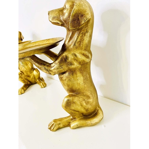 475 - LABRADOR BUTLER TRAYS, a pair, gilt finish, 44cm x 38cm x 27cm. (2)