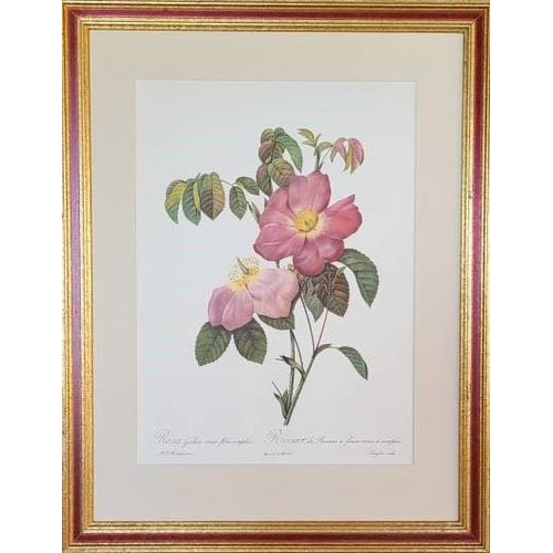 32 - AFTER PIERRE-JOSEPH REDOUTE, 'Roses' lithographs, 32cm x 26cm each, published 1956, framed. (6)