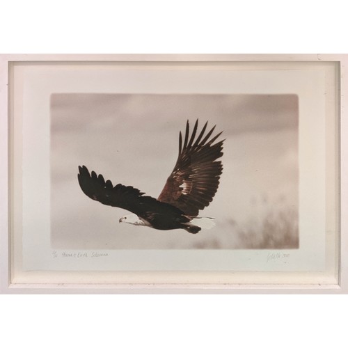 78 - CAROLINE GIBELO 'Heaven and Earth Botswana', photo print, 82cm x 6cm, signed, numbered 2/20 and date... 