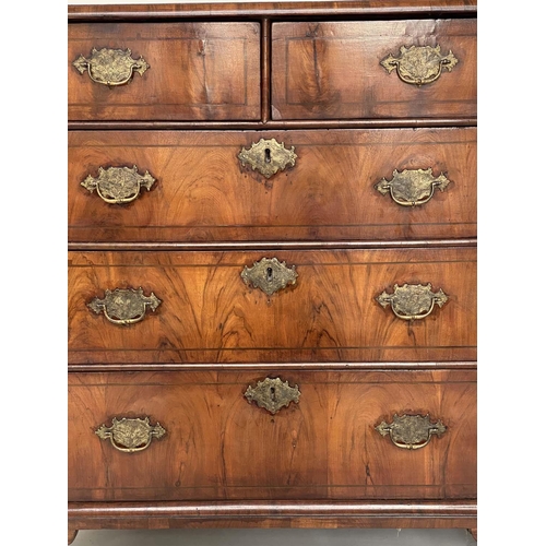 179 - CHEST, early 18th century English Queen Anne figured walnut will two short and three long drawers, 8... 