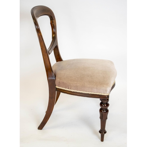 207 - DINING CHAIRS, 89cm H x 50cm, a set of six, Victorian mahogany, circa 1850, with grey velvet seats. ... 