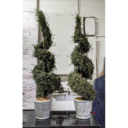 404 - FAUX SPIRAL TOPIARY TREES, pair, in planters, 120cm H.