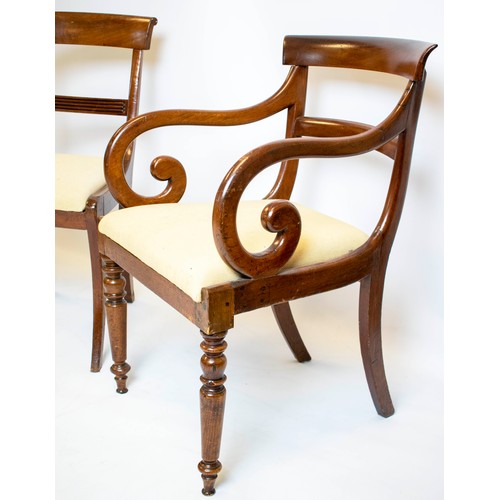 154 - DINING CHAIRS, 89cm H x 47cm W, a set of six, Regency mahogany and a similar pair of armchairs with ... 