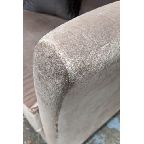 387 - SOFA, mushroom velvet upholstery, stained pine frame, complete with scatter cushions, 78cm H x 220cm... 
