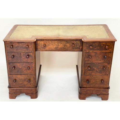 202 - PEDESTAL DESK, Victorian burr walnut with gilt tooled green leather writing surface above nine well ... 