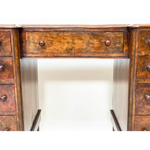 202 - PEDESTAL DESK, Victorian burr walnut with gilt tooled green leather writing surface above nine well ... 