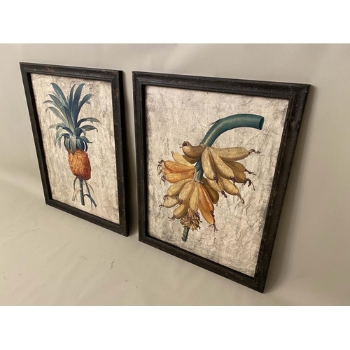 412 - BOTANICAL PRINTS, a pair, framed, each measuring 88cm x 68cm. (2)