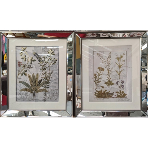 421 - BOTANICAL PRINTS, a pair, framed in antiqued mirror frames 59cm x 49cm each. (2)