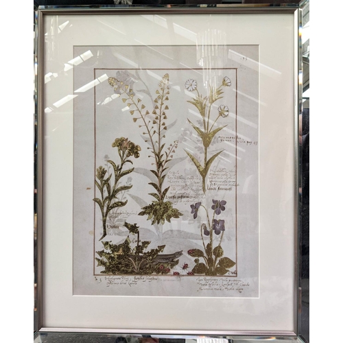 421 - BOTANICAL PRINTS, a pair, framed in antiqued mirror frames 59cm x 49cm each. (2)