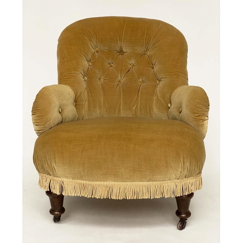 113 - ARMCHAIR, Victorian walnut with yellow velvet upholstery, buttoned back and arms and turned supports... 